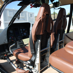 Colibri cc 053 600x600 1